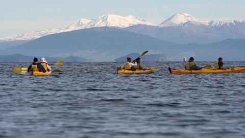 Western Bays Epic Full Day (Kayaking & Mountain Biking Combo)